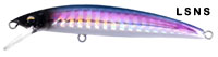 Minnow B'iz