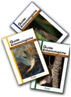 Guide entomologiche